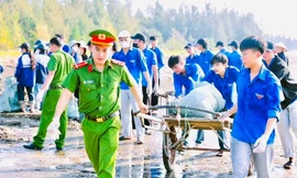 Tuổi trẻ Nghệ An đổi rác lấy cây, làm sạch biển