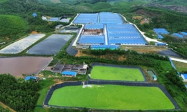 Trại lợn 30.000 con ở Thanh Hoá gây ô nhiễm nặng