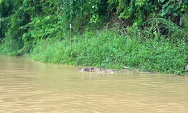 Phát hiện 2 thi thể ở lòng hồ thủy điện sau bão