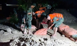 Nước sông Hoạt tràn qua bờ đê, hàng trăm người cứu đê trong đêm