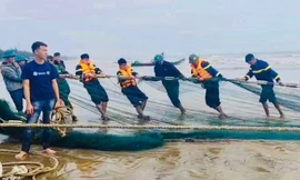 Tìm kiếm ngư dân rơi xuống biển mất tích