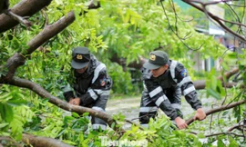 Cảnh sát cơ động giúp người dân Nghệ An, Hà Tĩnh khắc phục hậu quả sau bão