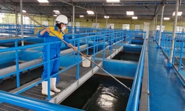 Nghệ An: Sau bão số 5, hàng nghìn người dân vẫn chưa có nước sử dụng