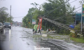 Nghệ An, Hà Tĩnh mất điện diện rộng, điện lực nỗ lực khắc phục đường dây