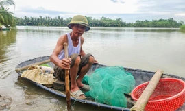 Bão nối tiếp bão, chủ đầm tôm lo trắng tay lần thứ 2 trong năm