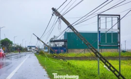 Hàng trăm cột điện ở Hà Tĩnh đổ rạp sau bão