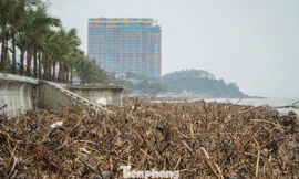 Sau bão, rác như 'bãi chông' bủa vây bãi biển đẹp nổi tiếng 