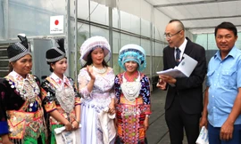 Kỳ vọng giảm nghèo bền vững từ cây tỏi Sanuki ở vùng biên xứ Nghệ