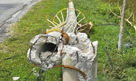 Xôn xao hàng loạt cột điện chiếu sáng gãy đổ để lộ lõi thép chữ V ở Hà Tĩnh