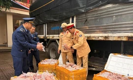 Phát hiện 200 kg bắp heo không nguồn gốc trên xe tải