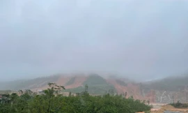 Sạt lở núi nghiêm trọng vùi lấp nhiều trang trại ở Hà Tĩnh