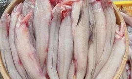 Phát hiện nhiều khu chợ bán cá cháo có chứa chất cấm