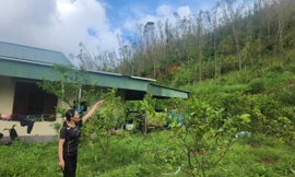 Nhiều đồi núi sạt lở, người dân sống bất an