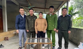 Người dân bàn giao cá thể khỉ vàng quý hiếm thả về rừng