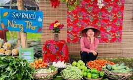 Cô gái có 'máu liều' tạo giá trị kinh tế từ nông sản sạch, góp phần thay đổi diện mạo vùng quê