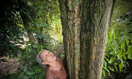 Bà Nguyễn Thị Đào bên gốc cây cổ thụ trong khu rừng mà dòng họ gìn giữ, bảo vệ.