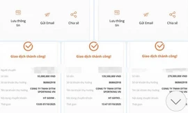 Tham gia nhóm pickleball trên mạng, người phụ nữ bị lừa mất hơn 600 triệu đồng