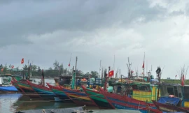 Tìm thấy thi thể bé trai 6 tuổi mất tích ở khu neo đậu thuyền