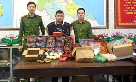 Triệt phá đường dây buôn bán hơn 6 tấn pháo nổ 