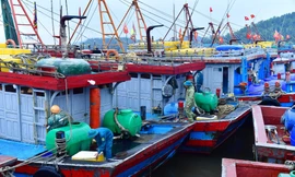 Quảng Ninh, Nghệ An, Hà Tĩnh, Thanh Hóa cấm biển ứng phó bão số 10 Bualoi