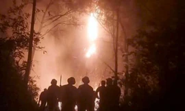 Cháy rừng trong đêm, huy động hàng trăm người dập lửa