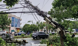 Nhiều cột điện ở Nghệ An gãy đổ sau bão số 5