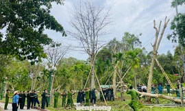 'Vượt nắng, thắng mưa' giúp dân khắc phục hậu quả bão số 5