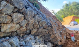 Sạt lở phá bờ kè, hiểm họa 'rình rập' trên tuyến quốc lộ qua Nghệ An