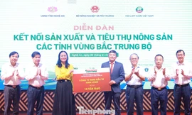 Kết nối chuỗi giá trị nông sản vùng Bắc Trung Bộ