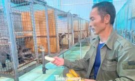 Điểm sáng về phát triển kinh tế nông thôn ở Nghệ An