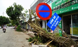 Ngổn ngang sau bão số 5, Hà Tĩnh tiếp tục căng mình ứng phó thiên tai 