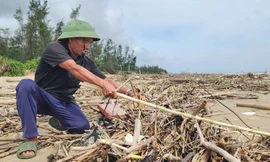 Sau bão, bãi biển Hà Tĩnh ngập rác thải