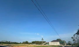 “Cò đất” lặng lẽ rời đi sau khi đổ về vùng quê khiến đất "sốt" lên từng ngày