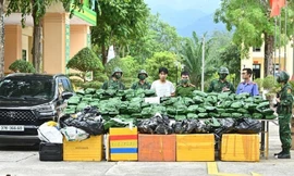 Bắt quả tang đối tượng vận chuyển 240kg cần sa