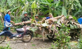 Sinh viên tình nguyện hỗ trợ người dân khắc phục hậu quả mưa bão