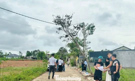 'Thổi giá', gom đất, phân lô bán nền tràn lan sau công bố quy hoạch