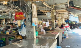 Nhiều sạp hàng đóng cửa vì dịch tả lợn châu Phi