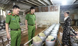 Phát hiện cơ sở sản xuất gần 5 tạ giá đỗ ngâm chất cấm