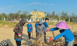 Thanh niên ra quân dọn hàng tấn rác tại bờ biển sau bão