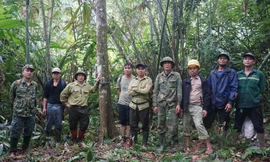 Vòng tay đại ngàn nuôi dưỡng sự sống, che chở con người trong bão lũ