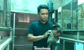 Chàng trai kiếm tiền tỉ mỗi năm nhờ loài ‘ăn đêm, đẻ khỏe’