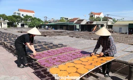 Hành trình làm mới đặc sản quê của cô gái xứ Nghệ