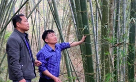 Người có uy tín ở vùng cao Nghệ An