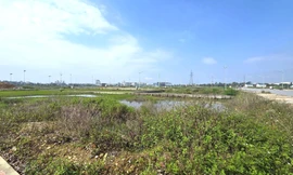 Choáng với giá hơn 12 tỷ đồng một lô đất cấp xã ở Nghệ An