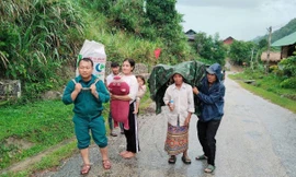 Trước giờ bão đổ bộ: Vết nứt dài 300m trên núi khiến hàng chục người phải rời nhà