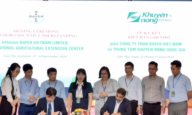 Bayer kiến tạo ngành lúa gạo chất lượng cao, giảm phát thải