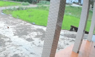 Tìm nguyên nhân gây ra vụ nổ kinh hoàng giữa ruộng lúa Quảng Trị