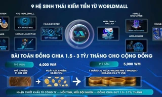 Chiêu trò khiến hàng nghìn người sập bẫy đầu tư đồng tiền ảo 'WM'