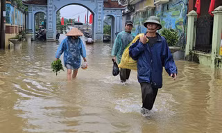 Mưa bão khiến 7.085 ha lúa và rau màu bị ngập, hàng nghìn hộ dân bị ảnh hưởng