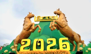 Ngắm cặp tượng song mã chào xuân ở Lào Cai